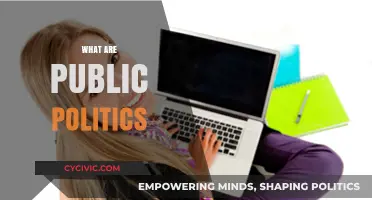 Understanding Public Politics: Definitions, Roles, and Societal Impact Explained