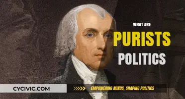 Understanding Purist Politics: Ideals, Impact, and Modern Relevance Explained