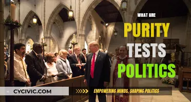 Understanding Purity Tests in Politics: Ideological Rigor vs. Pragmatic Compromise
