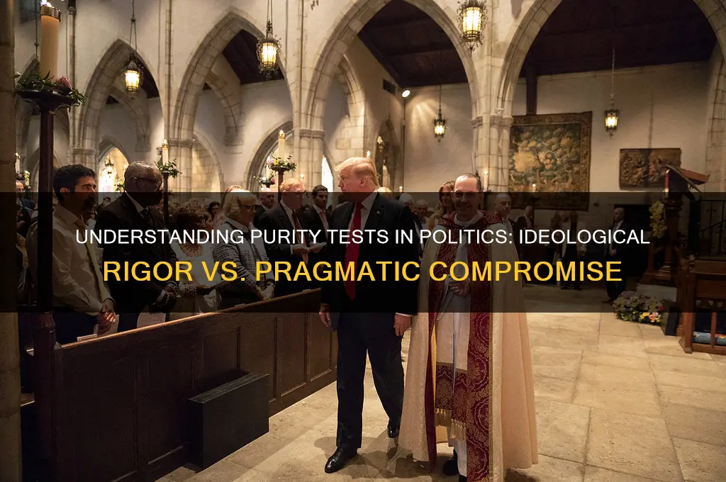 what are purity tests politics