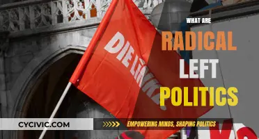 Understanding Radical Left Politics: Ideologies, Goals, and Global Impact