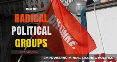 Understanding Radical Political Groups: Ideologies, Tactics, and Societal Impact