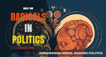 Understanding Political Radicals: Ideologies, Impact, and Historical Context Explained