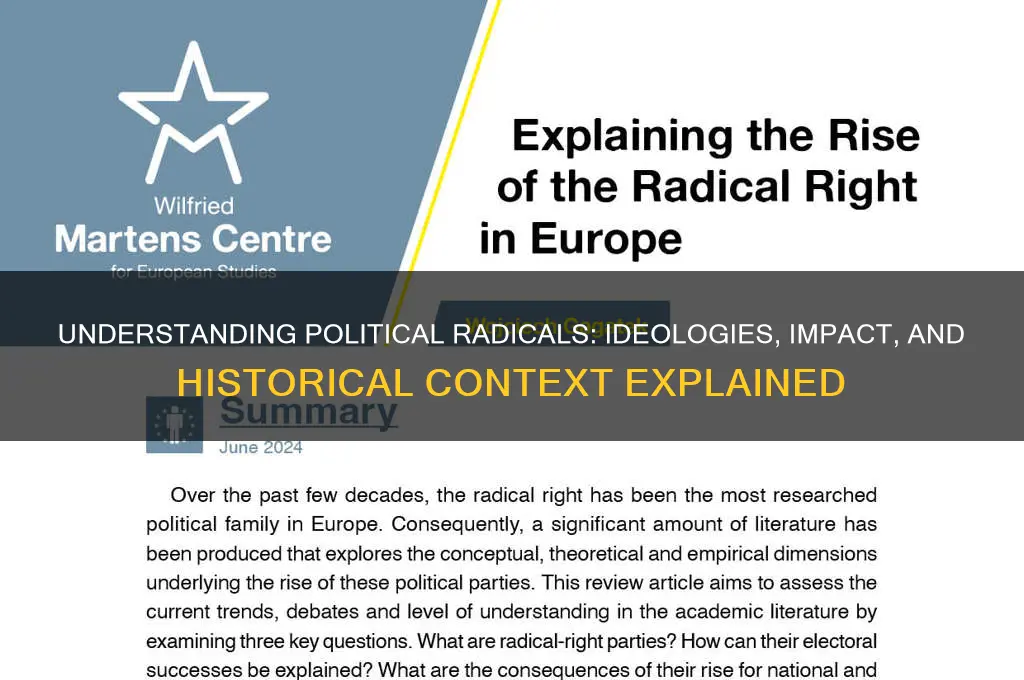 what are radicals in politics