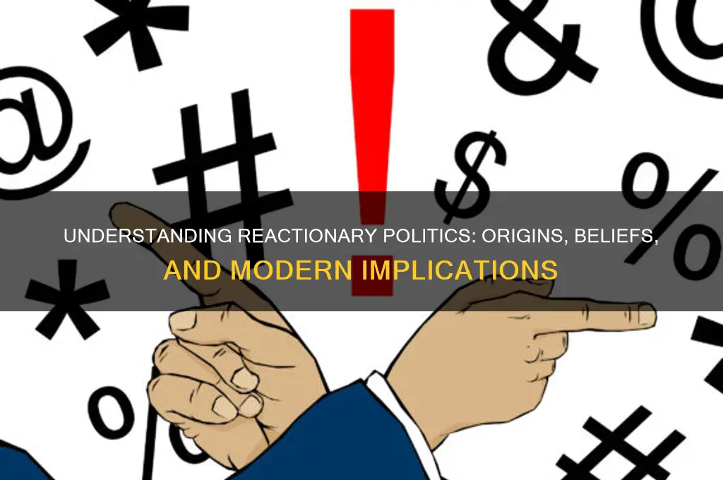 what are reactionary politics