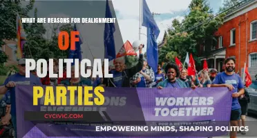 Why Voters Drift: Exploring Causes of Political Party Dealignment