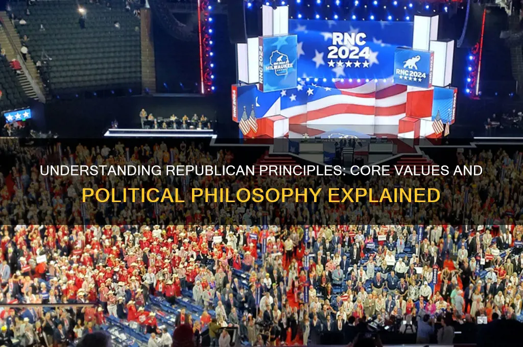 what are republican in politics