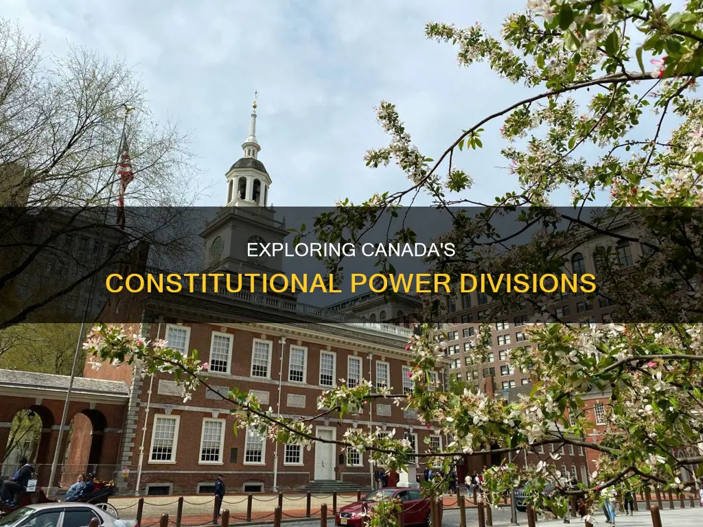 what are reserved implied concurrent and exclusive constitutional powers