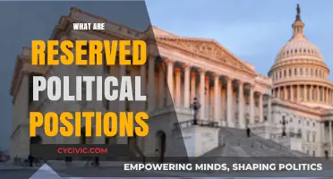 Understanding Reserved Political Positions: Purpose, Impact, and Global Examples