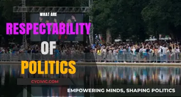 Understanding the Role of Respectability in Modern Political Landscapes