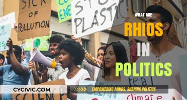 Understanding Rhios: Their Role and Impact in Modern Political Systems
