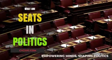 Understanding Political Seats: Power, Representation, and Influence Explained