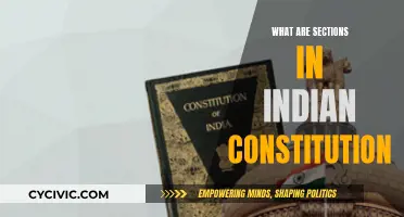 The Dynamic Sections of India's Constitution