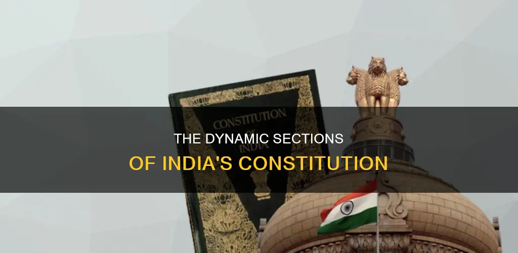 what are sections in indian constitution