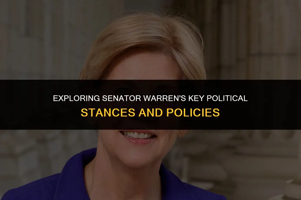 what are senator warrens most important political positions