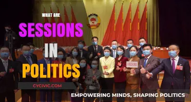 Understanding Political Sessions: Key Functions and Impact on Governance