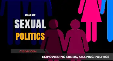 Understanding Sexual Politics: Power, Gender, and Social Dynamics Explained