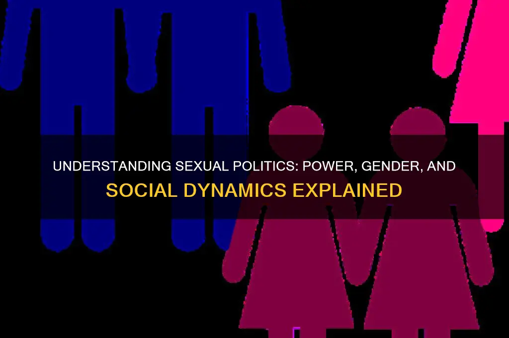 what are sexual politics