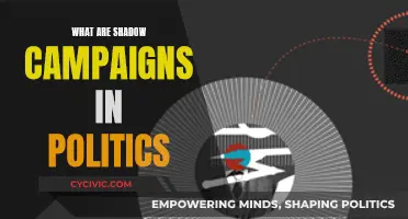 Shadow Campaigns: Political Strategies Behind the Scenes