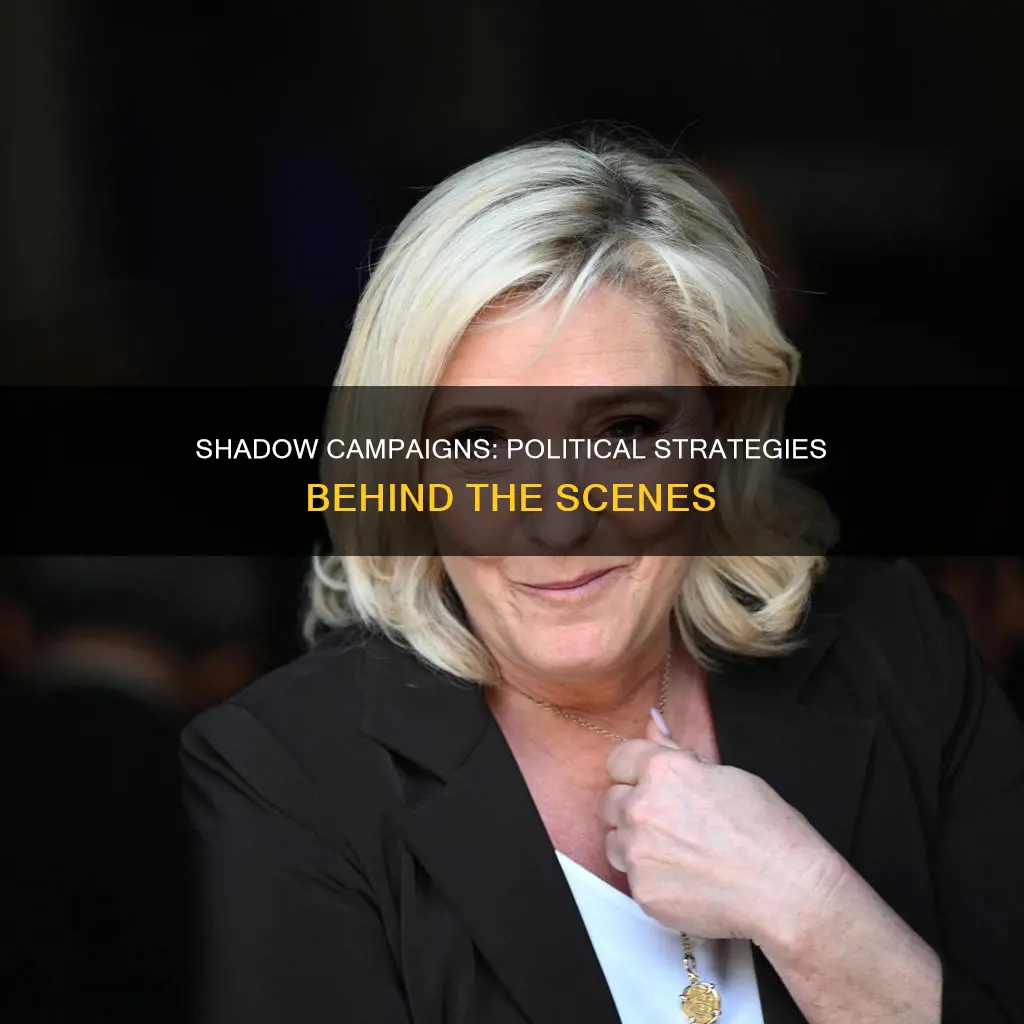 what are shadow campaigns in politics