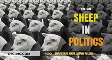 Sheep in Politics: Understanding Followers, Conformity, and Groupthink Dynamics