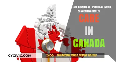 Canada's Health Care Crisis: Key Political Issues and Challenges