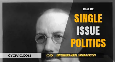 Understanding Single-Issue Politics: Focused Advocacy in a Complex Political Landscape