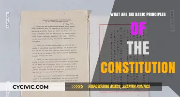 Exploring the Constitution's Core Principles