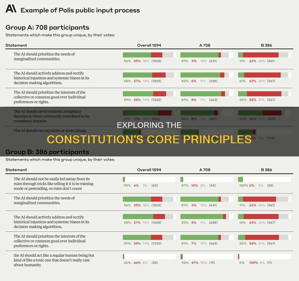 what are six basic principles of the constitution
