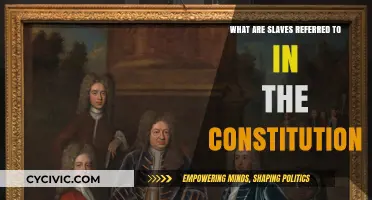 The Constitution's Dark Legacy: Slaves' Dehumanizing Label