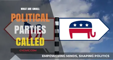 Understanding Minor Political Parties: Their Names, Roles, and Impact