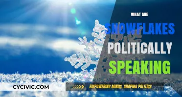 Understanding the Political Term 'Snowflakes': Origins, Usage, and Implications
