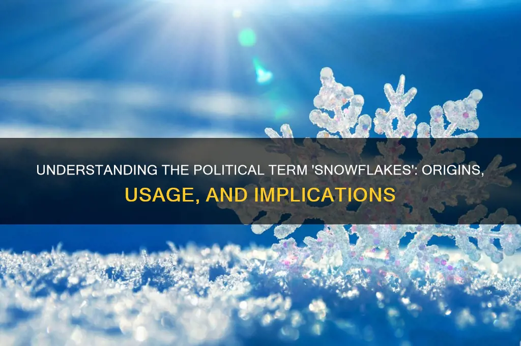 what are snowflakes politically speaking