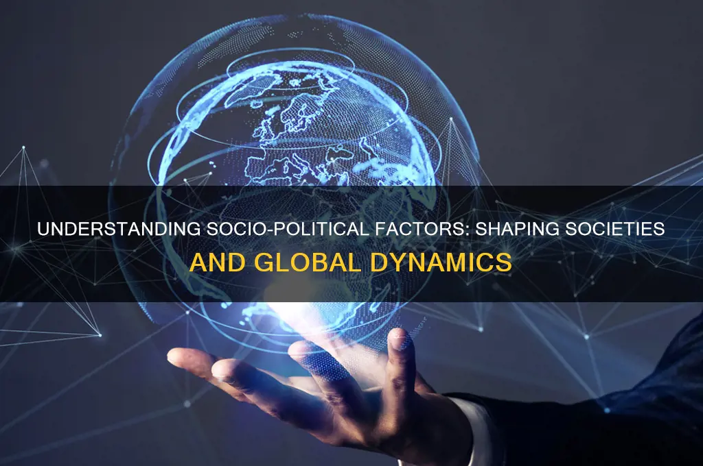 what are socio political factors