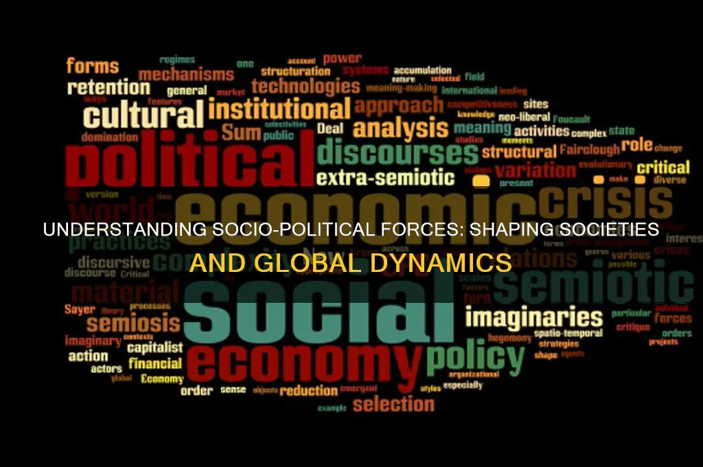 what are socio political forces