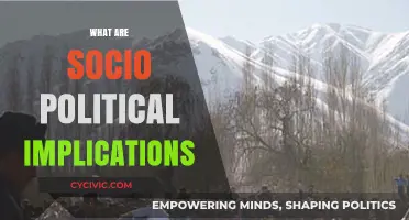 Understanding Socio-Political Implications: Impact, Challenges, and Future Perspectives
