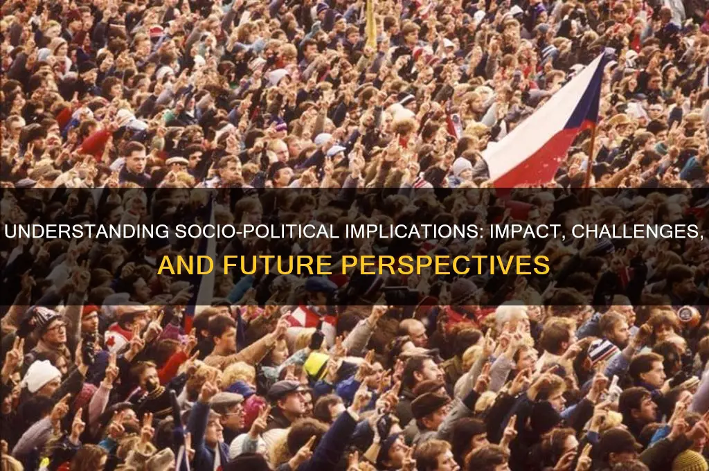 what are socio political implications