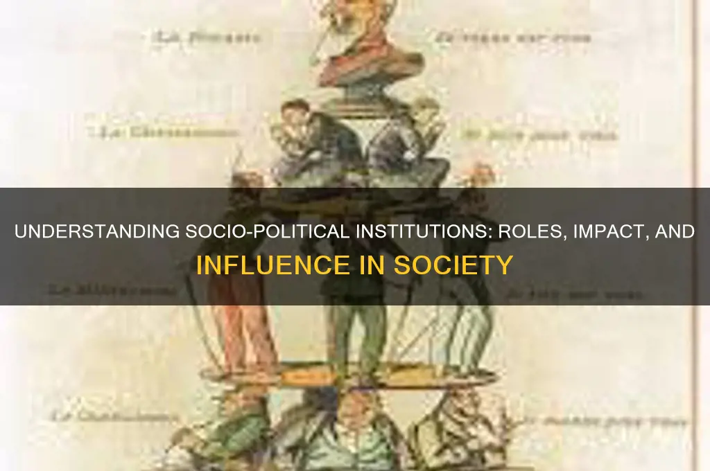 what are socio political institution