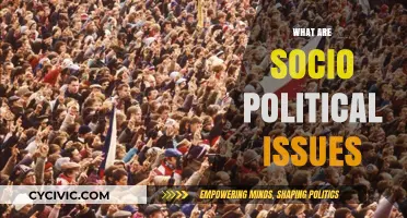 Understanding Socio-Political Issues: Causes, Impacts, and Solutions Explained