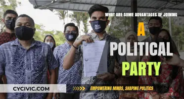 Joining a Political Party: Benefits, Influence, and Community Engagement