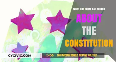 The Constitution: Flaws and All