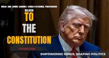 Cabinet Constitution Provisions: Understanding the Fundamentals