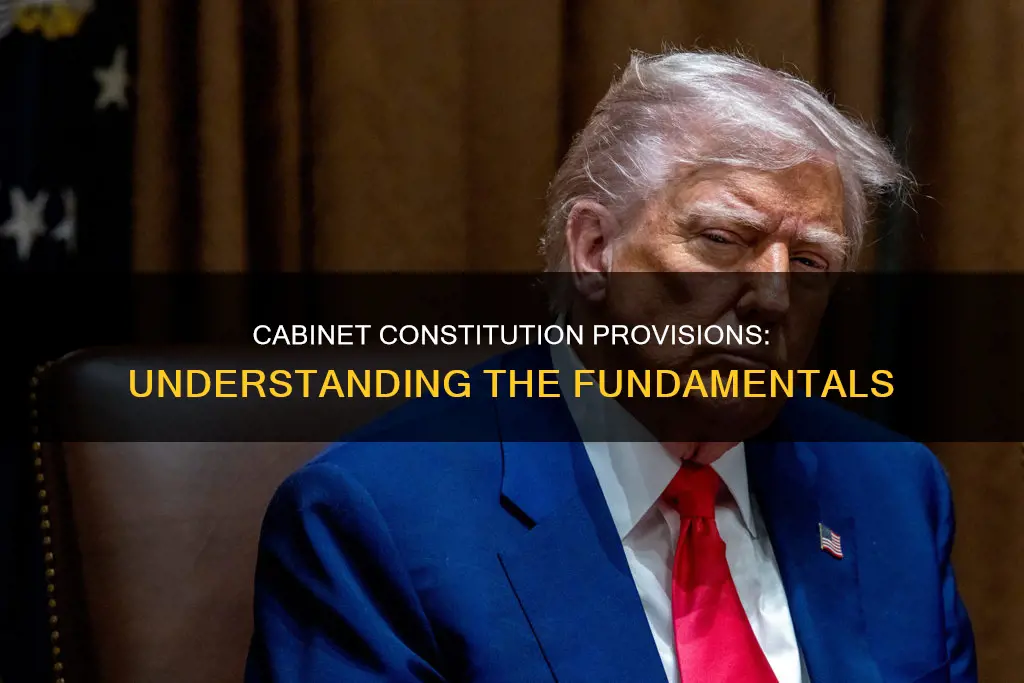 what are some cabinet constitutional provisions related to the constitution