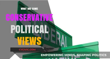 Exploring Conservative Political Perspectives: A Comprehensive Overview