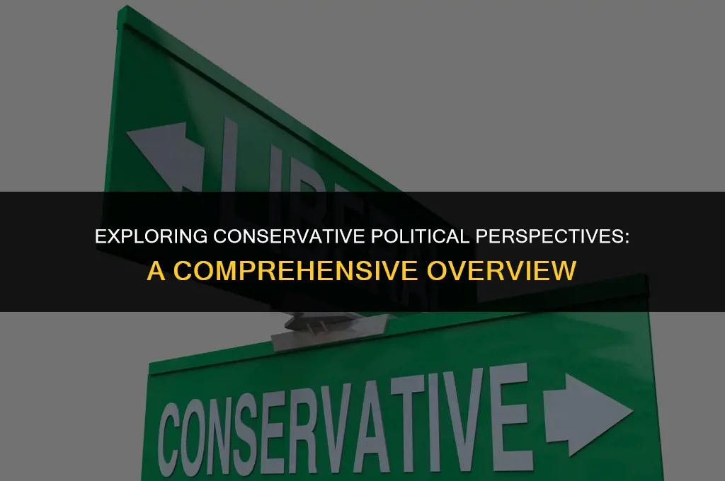 what are some conservative political views