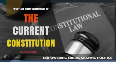 Critiquing the Constitution: Valid or Void?