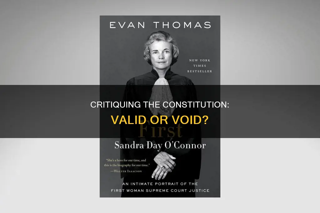 what are some criticisms of the current constitution