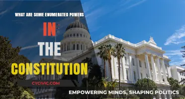Enumerated Powers: Understanding the Constitution's Explicit Authorities