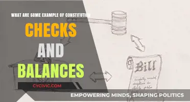 Checks and Balances: Examples of Constitutional Power Play