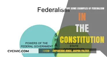 Federalism in the Constitution: Examples and Applications